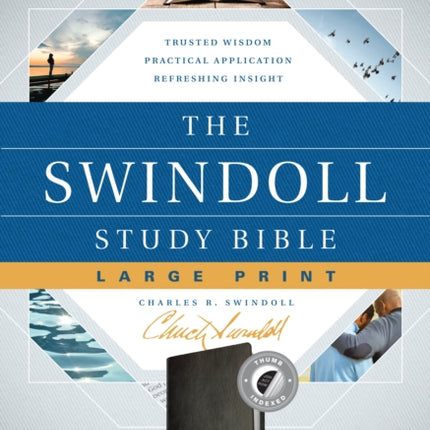 The Swindoll Study Bible NLT, Large Print