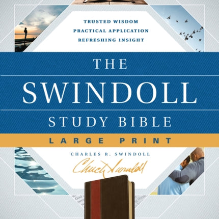 The Swindoll Study Bible NLT, Large Print