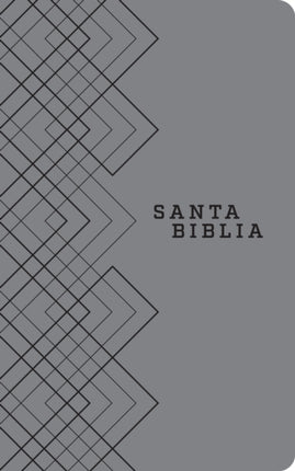 Santa Biblia NTV, Edicion agape (SentiPiel, Gris),