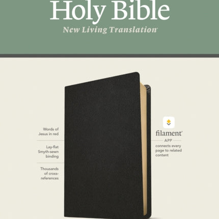 NLT Large Print Thinline Reference Bible, Filament Edition