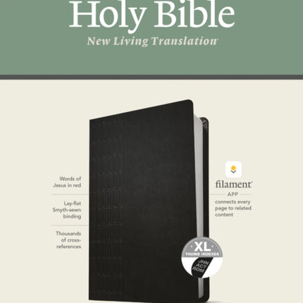 NLT Large Print Thinline Reference Bible, Filament Edition