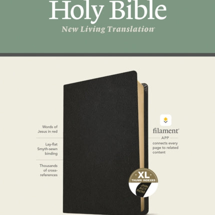 NLT Large Print Thinline Reference Bible Filament