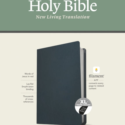 NLT Large Print Thinline Reference Bible, Filament Edition