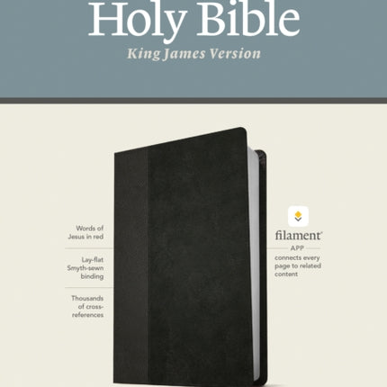 KJV Large Print Thinline Reference Bible, Filament Edition