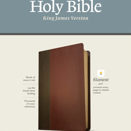 KJV Large Print Thinline Reference Bible, Filament Edition