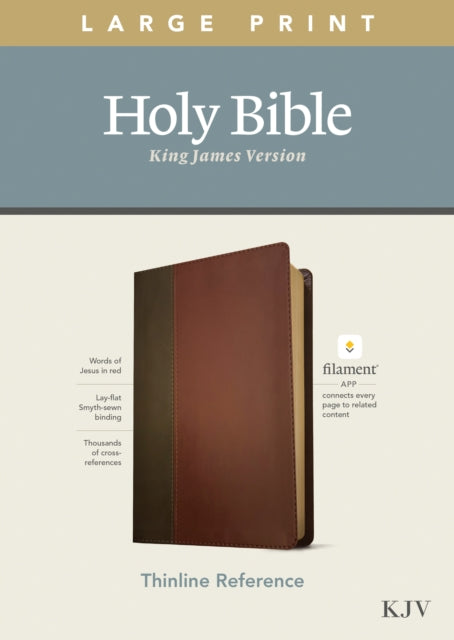 KJV Large Print Thinline Reference Bible, Filament Edition