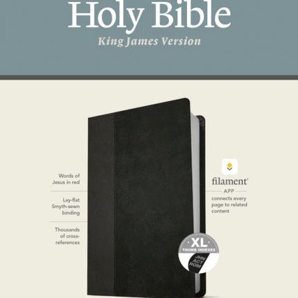 KJV Large Print Thinline Reference Bible, Filament Enabled E