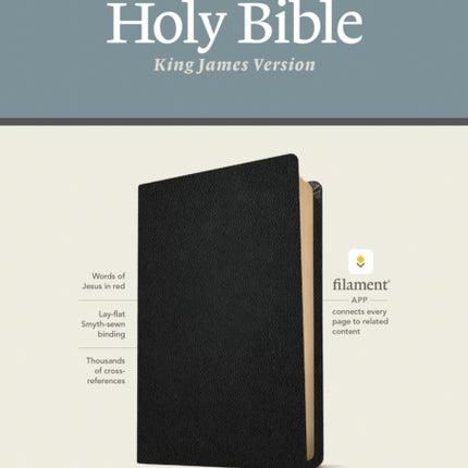 KJV Large Print Thinline Reference Bible Filament Enabled Edition Red Letter Genuine Leather Black