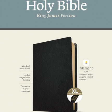 KJV Large Print Thinline Reference Bible, Filament Enabled E