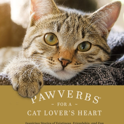 Pawverbs for a Cat Lover's Heart