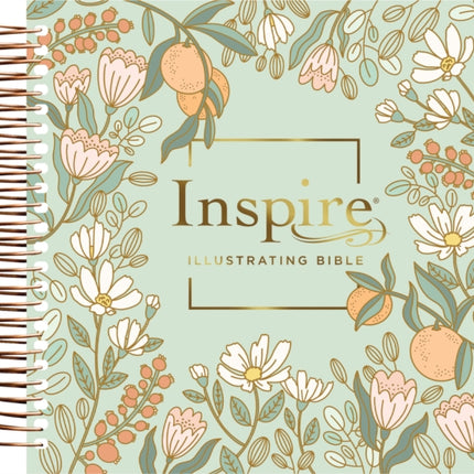 NLT Dayspring Inspire Illustrating Bible, Filament Edition