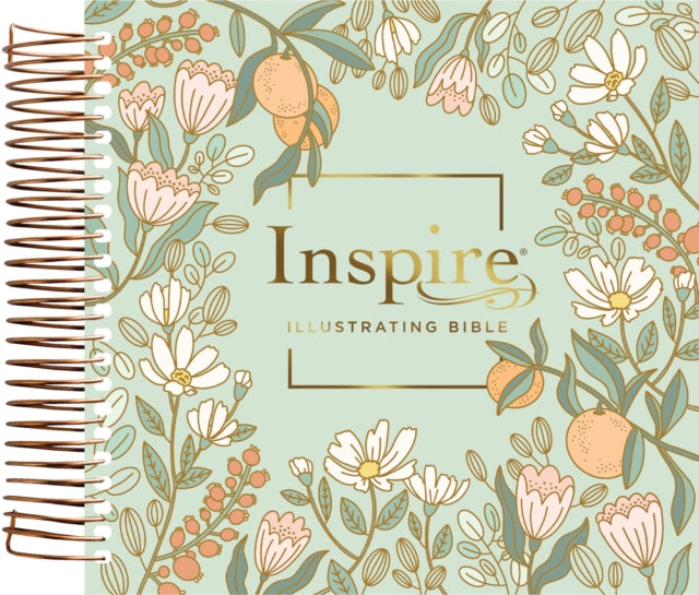 NLT Dayspring Inspire Illustrating Bible, Filament Edition