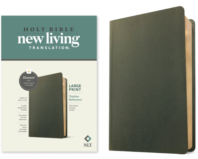 NLT Large Print Thinline Reference Bible, Filament Edition