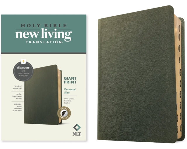 NLT Personal Size Giant Print Bible, Filament Edition