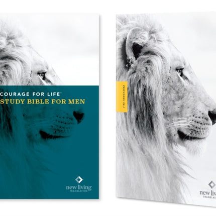 NLT Courage for Life Study Bible for Men, Filament Edition