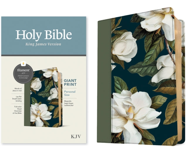 KJV Personal Size Giant Print Bible Filament Enabled Leatherlike Magnolia Sage Green Red Letter