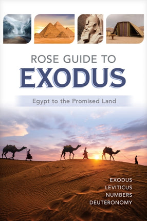 ROSE GT EXODUS