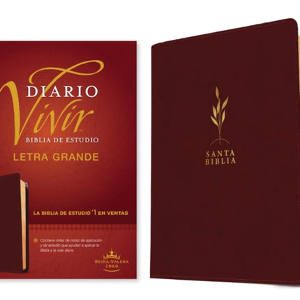 Biblia De Estudio Del Diario Vivir Rvr60 Letra