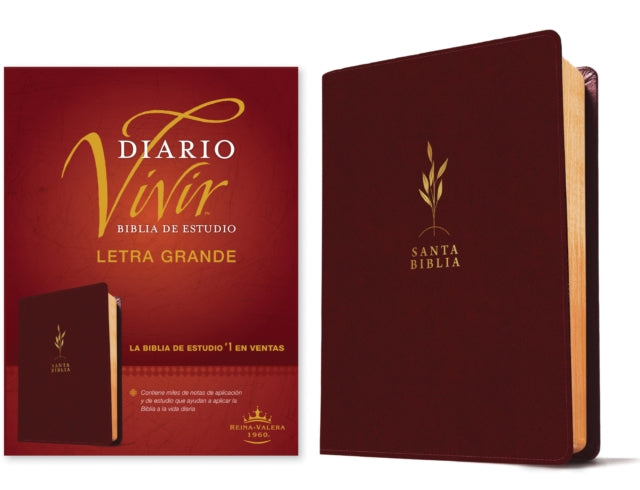 Biblia De Estudio Del Diario Vivir Rvr60 Letra