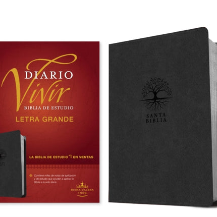 Biblia De Estudio Del Diario Vivir Rvr60 Letra