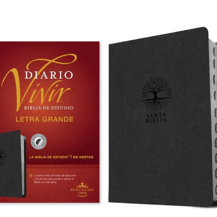 Biblia De Estudio Del Diario Vivir Rvr60 Letra
