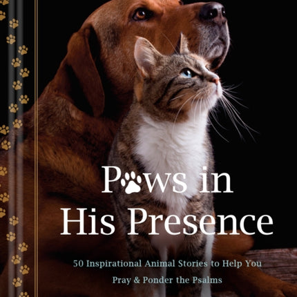 Paws in His Presence