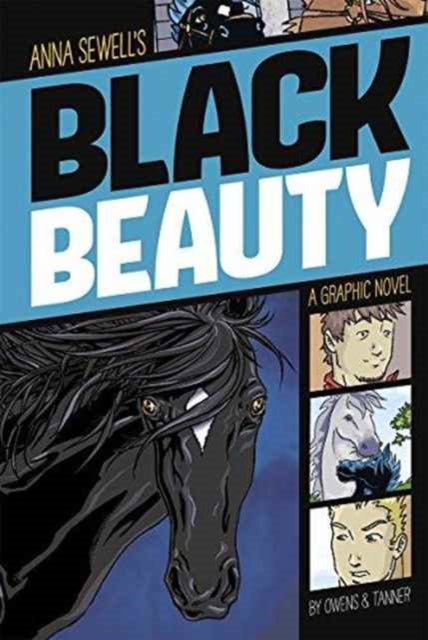 Black Beauty (Graphic Revolve: Common Core Editions)