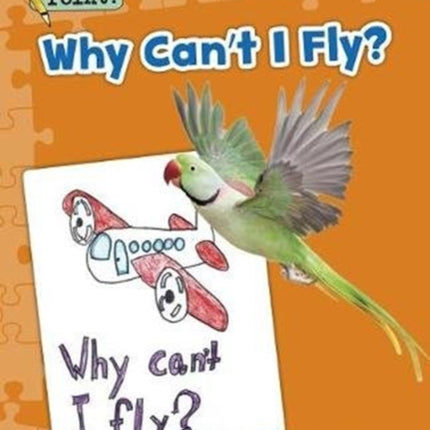 Why Can't I Fly?