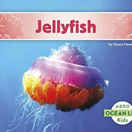 Jellyfish