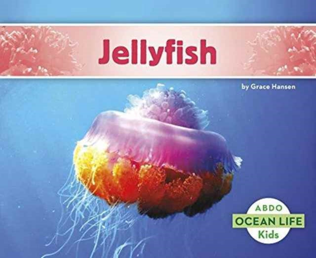 Jellyfish