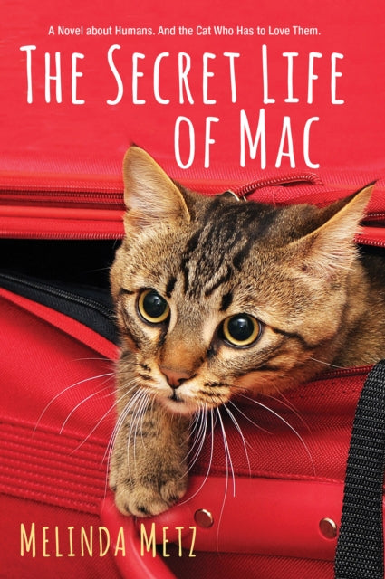 The Secret Life of Mac