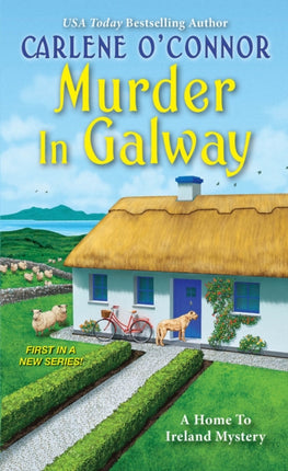 Murder in Galway