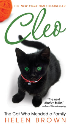 Cleo: The Cat Who Mended a Family