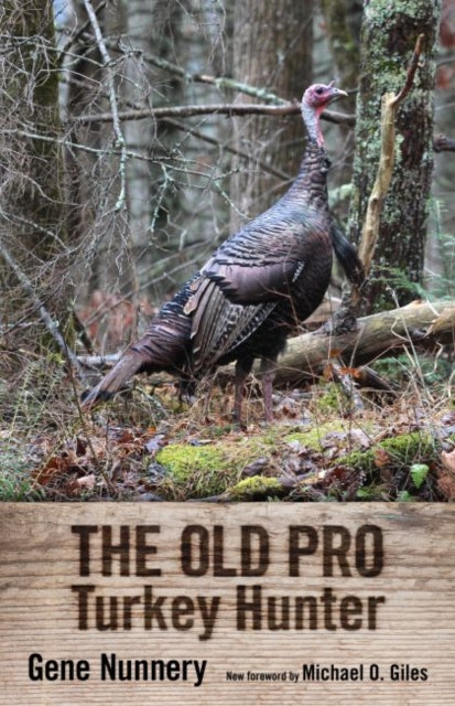 The Old Pro Turkey Hunter