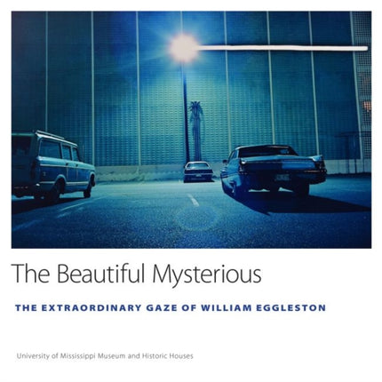 The Beautiful Mysterious  The Extraordinary Gaze