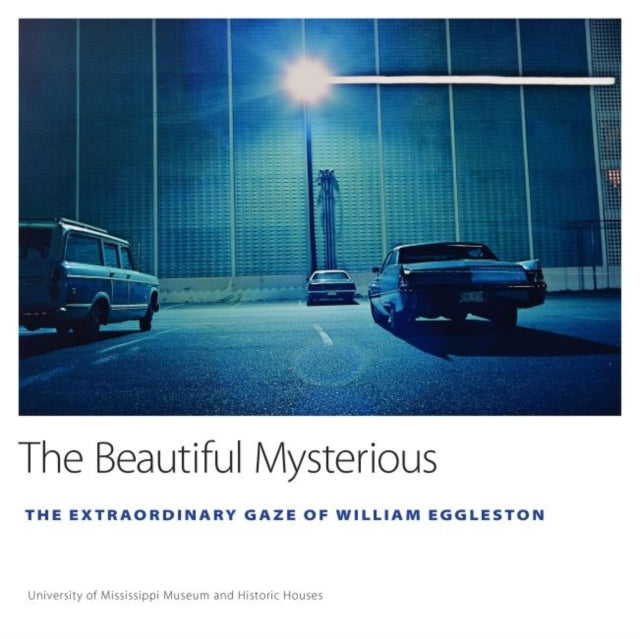 The Beautiful Mysterious  The Extraordinary Gaze