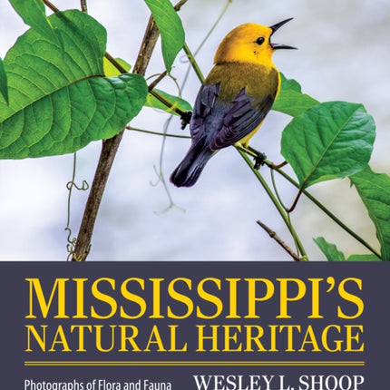 Mississippis Natural Heritage  Photographs of