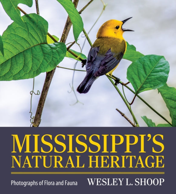 Mississippis Natural Heritage  Photographs of