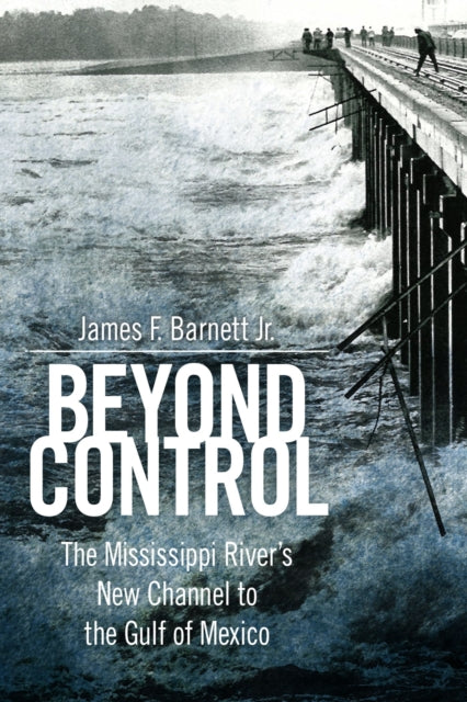 Beyond Control  The Mississippi Rivers New