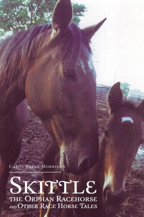 Skittle the Orphan Racehorse and Other Race Horse Tales