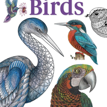 TangleEasy Birds: Design templates for Zentangle(R), coloring, and more