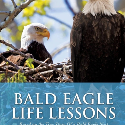 Bald Eagle Life Lessons