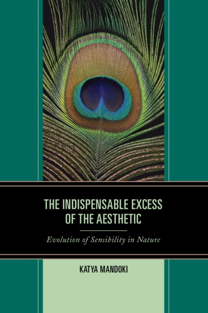 The Indispensable Excess of the Aesthetic