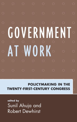 Government at Work: Policymaking in the Twenty-First-Century Congress