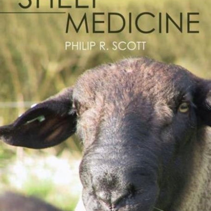 Sheep Medicine