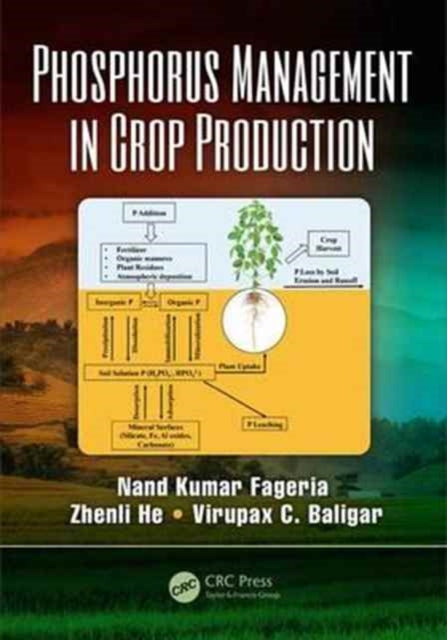 Phosphorus Management in Crop Production