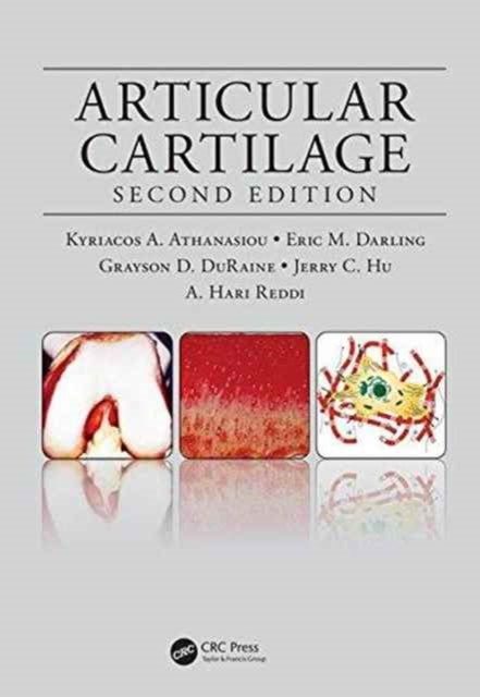 Articular Cartilage