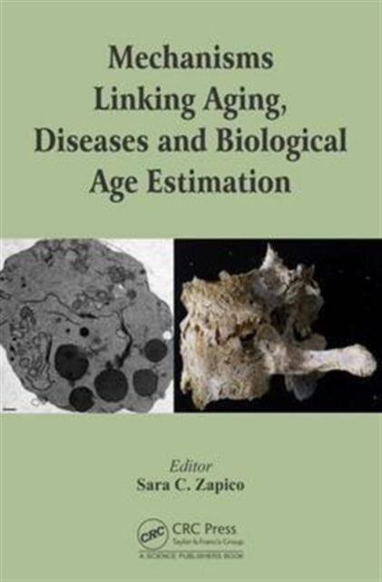 Mechanisms Linking Aging, Diseases and Biological Age Estimation