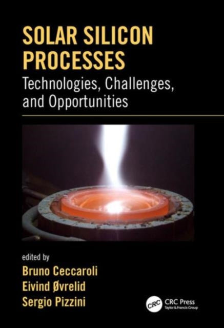 Solar Silicon Processes: Technologies, Challenges, and Opportunities