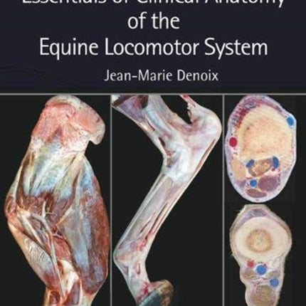 Essentials of Clinical Anatomy of the Equine Locomotor System